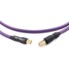 KABEL USB Melodika Purple MDUCB10 USB 2.0 C-B- 1,0m