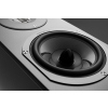 GŁOŚNIK PODŁOGOWY AUDIOVECTOR R 6 ARRETÉ