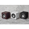 SUBWOOFER AUDIOVECTOR QR SUB SE
