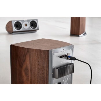 SUBWOOFER AUDIOVECTOR R Sub Arreté